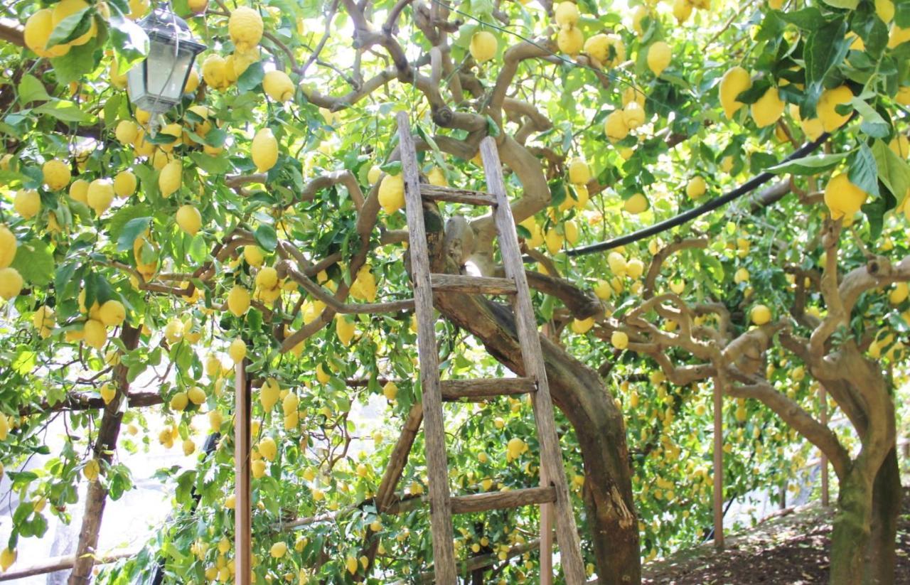 Villa Anna Minori Esterno foto