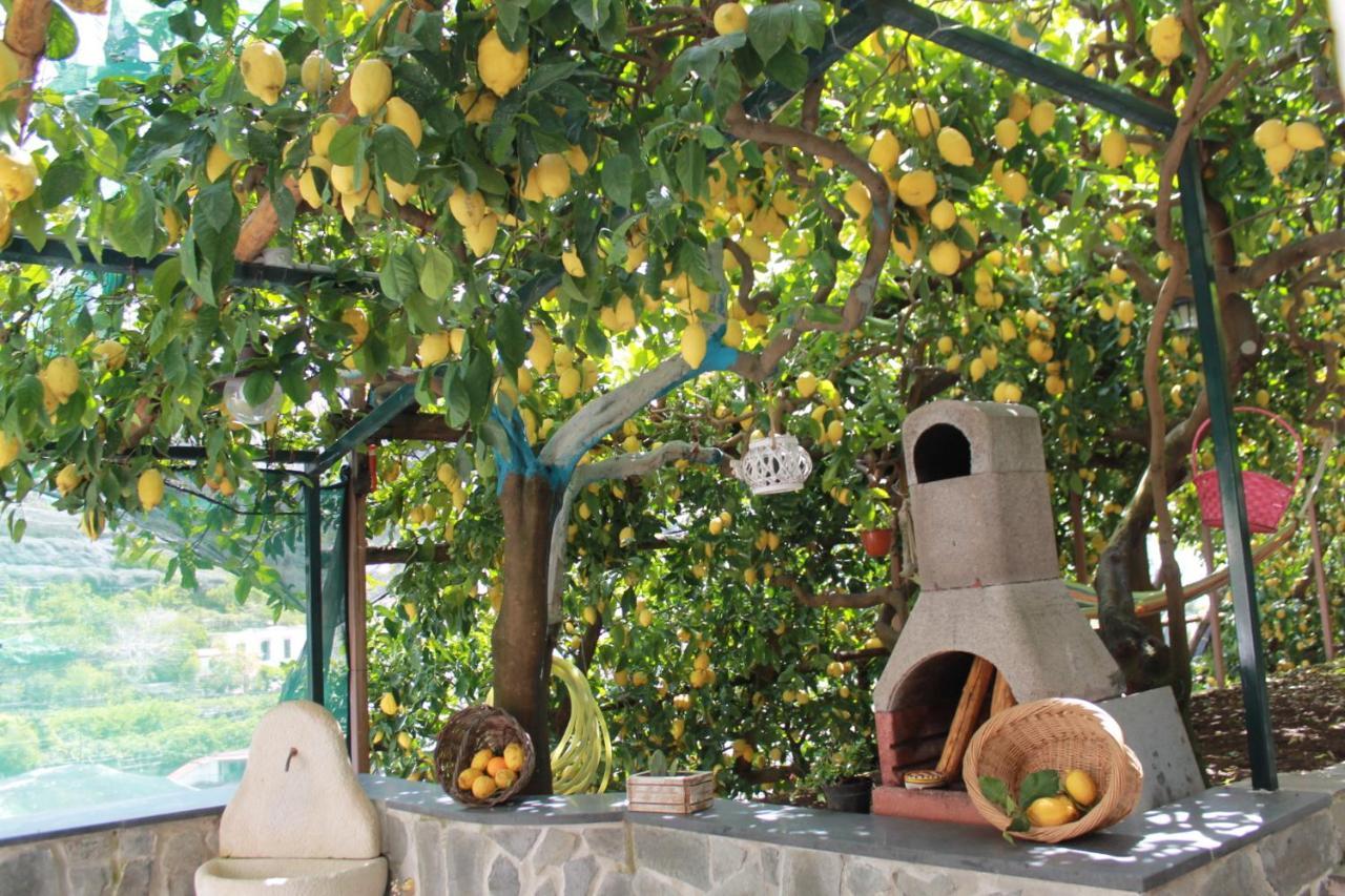 Villa Anna Minori Esterno foto