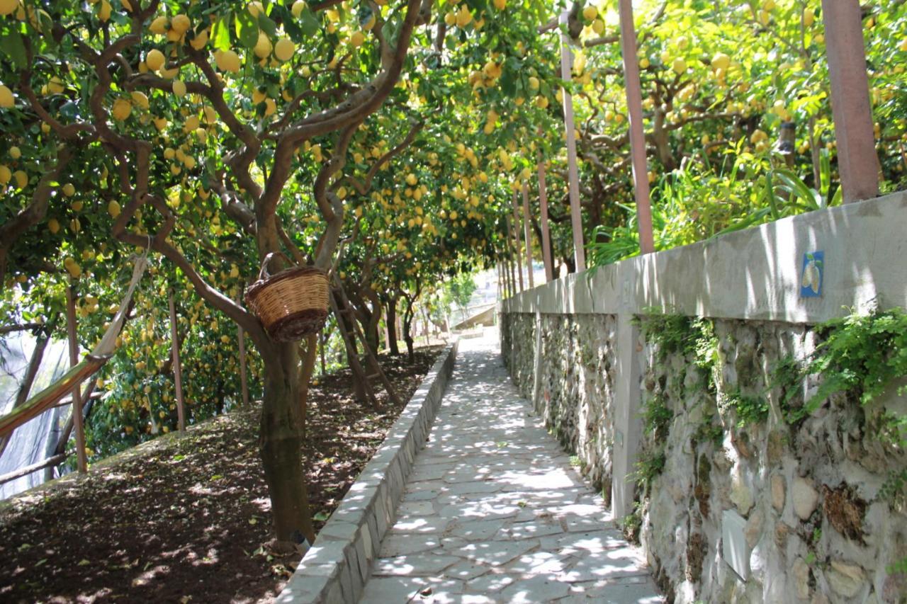Villa Anna Minori Esterno foto