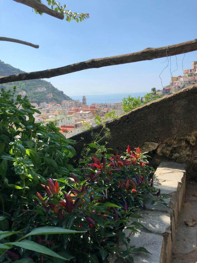 Villa Anna Minori Esterno foto
